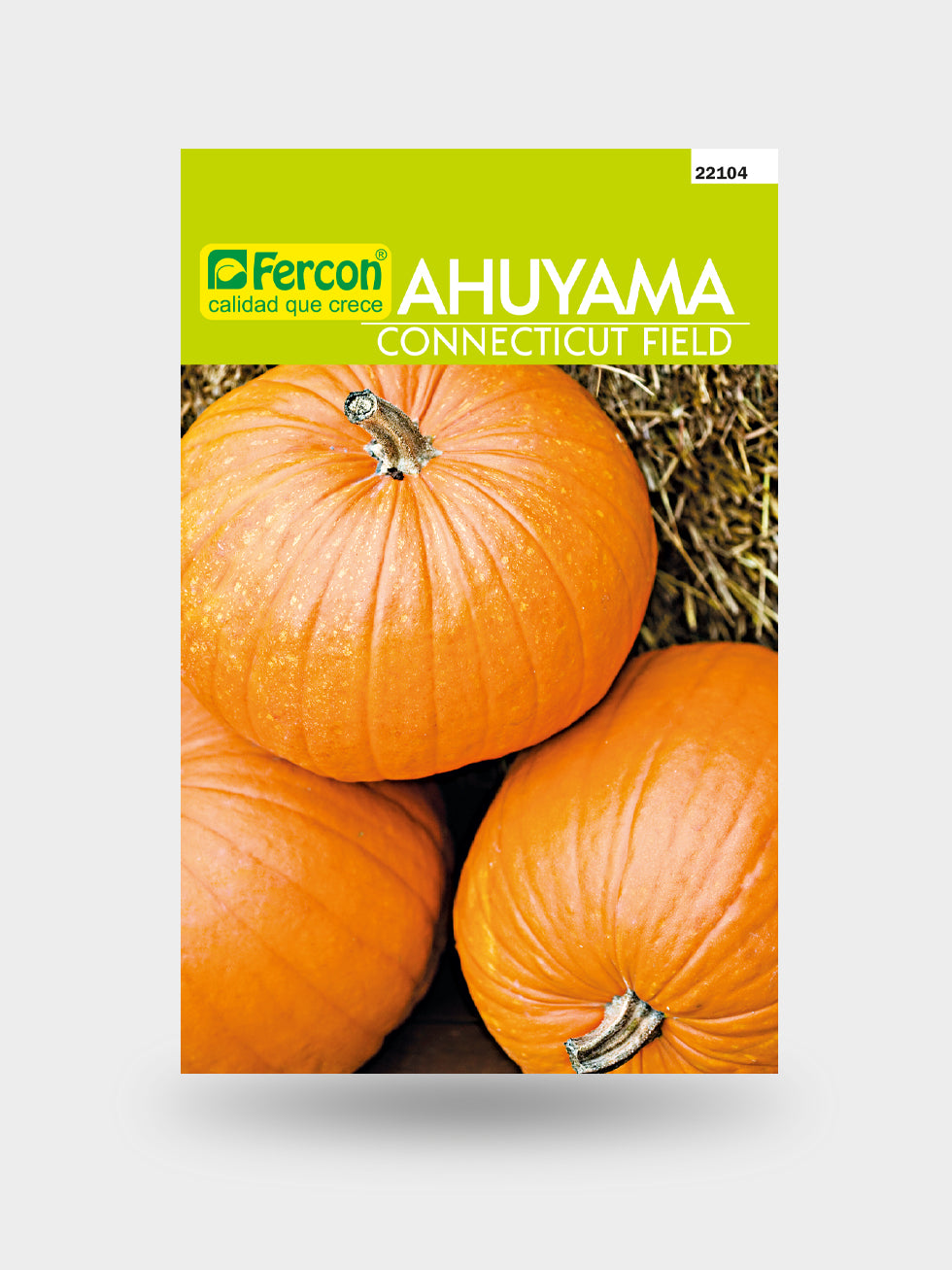 AHUYAMA CONNECTICUT X LIBRA