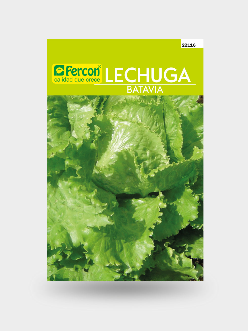 LECHUGA BATAVIA X 2 G