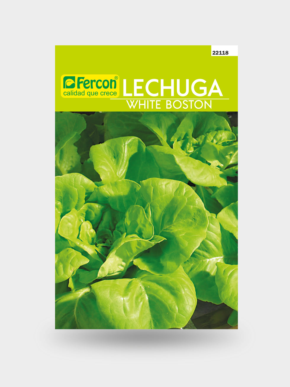 LECHUGA WHITE BOSTON X LIBRA
