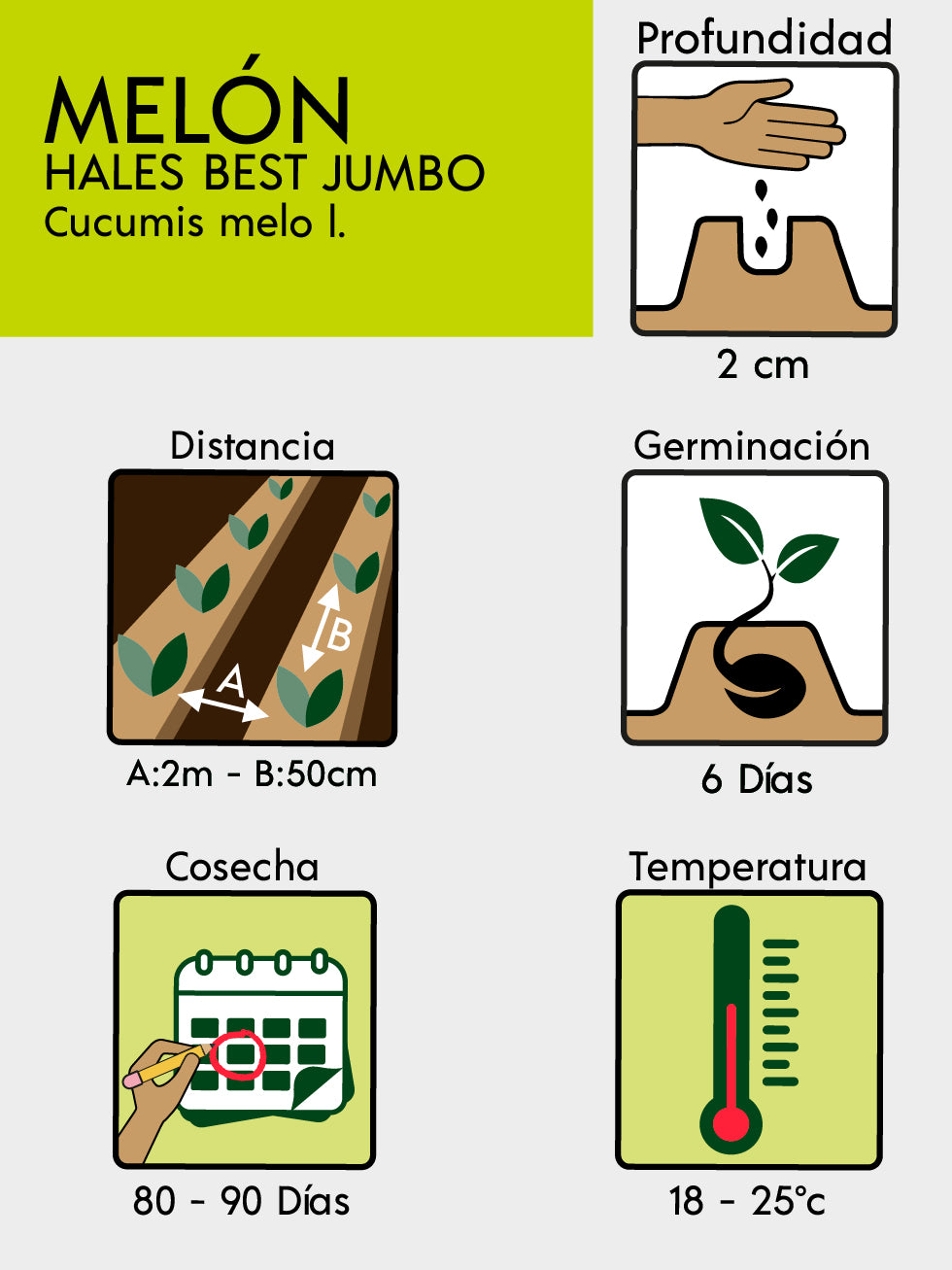 MELON HALEST BEST JUMBO X 3 G
