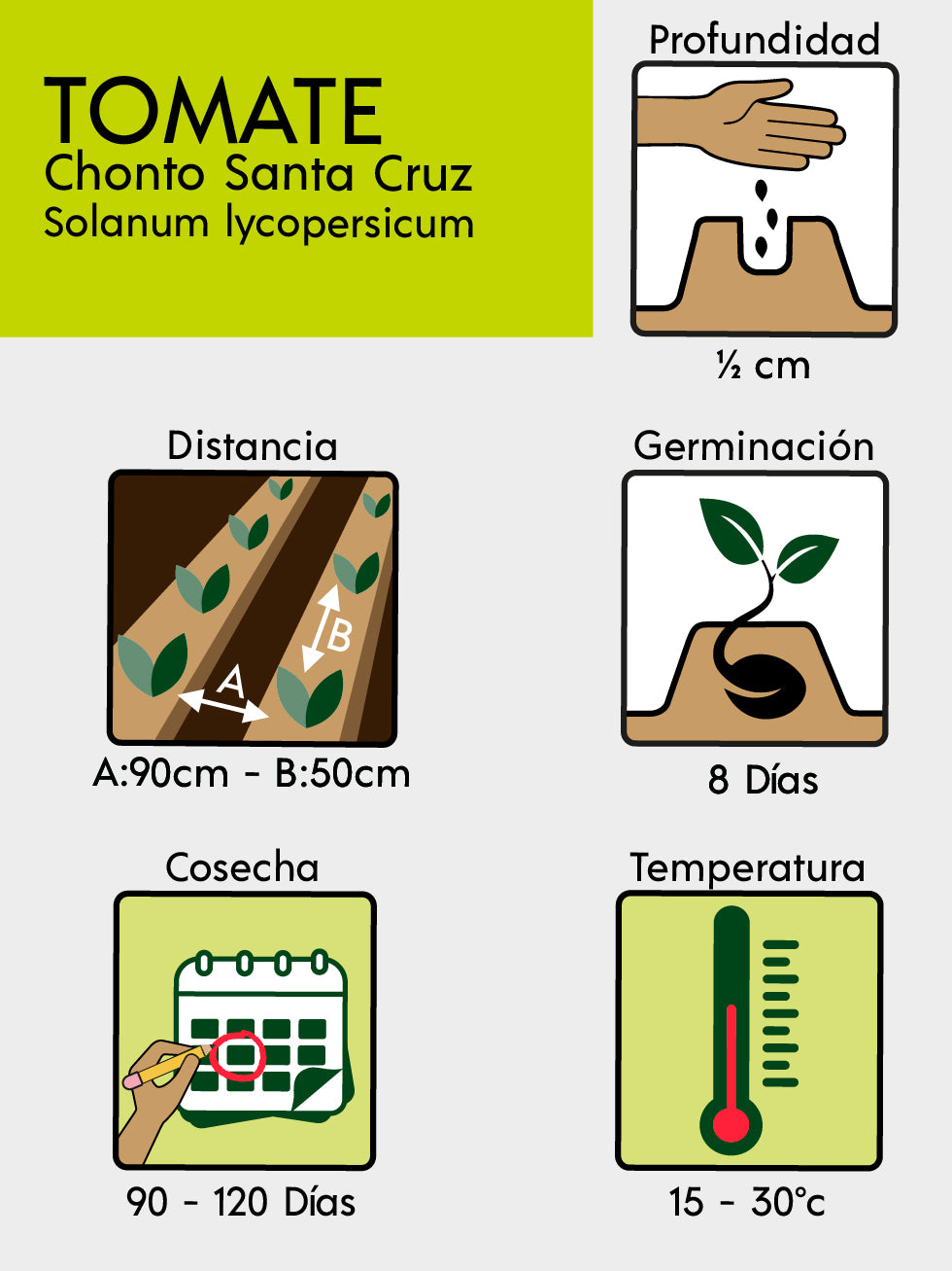 TOMATE CHONTO STA. CRUZ X LIBRA