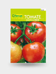 TOMATE MARGLOBER X 1 G