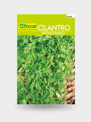 CILANTRO PATIMORADO X LIBRA