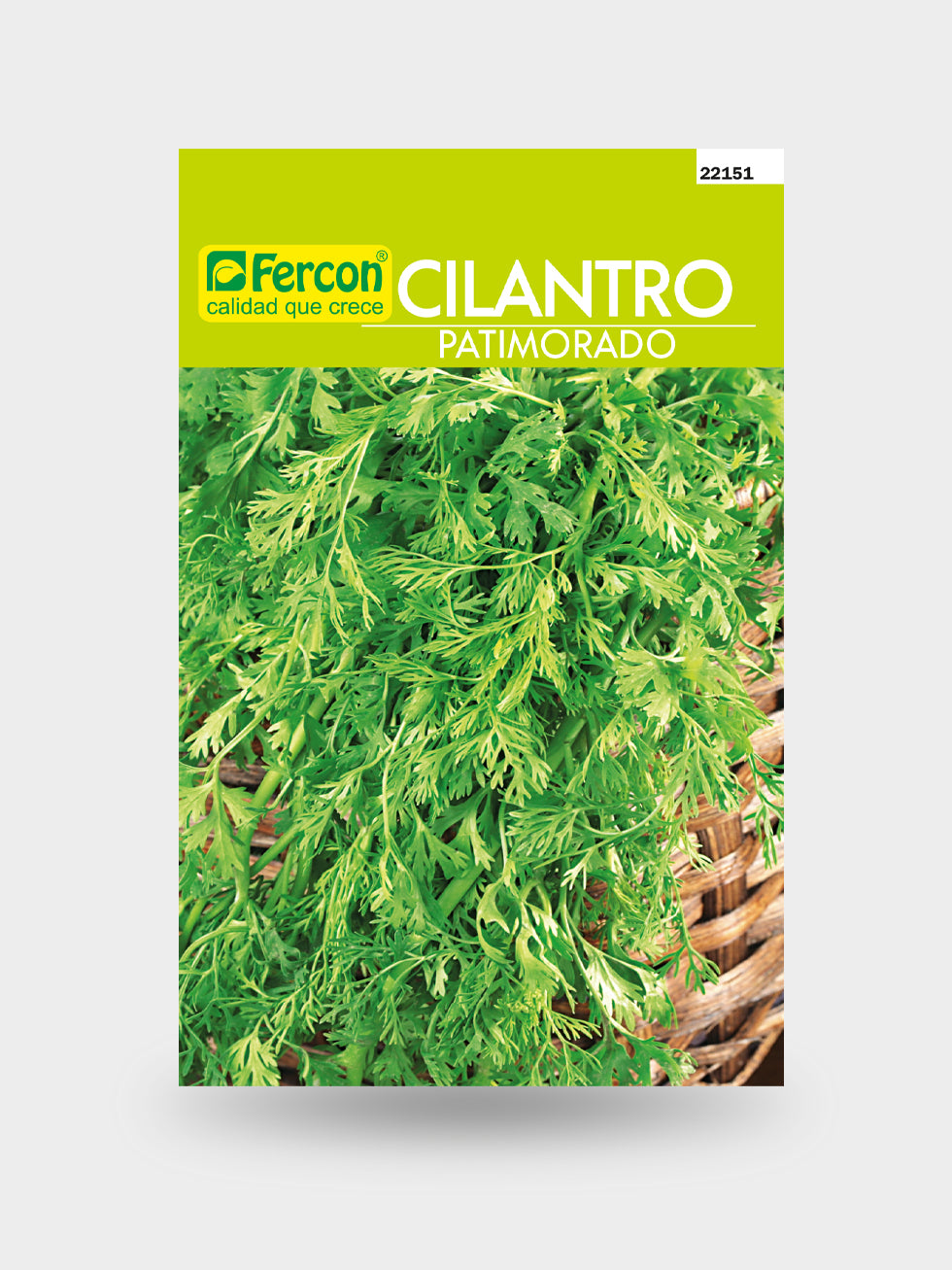 CILANTRO PATIMORADO X LIBRA