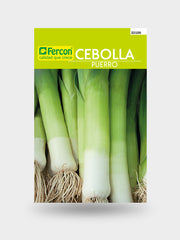 CEBOLLA PUERRO CARENTAN X 1 G