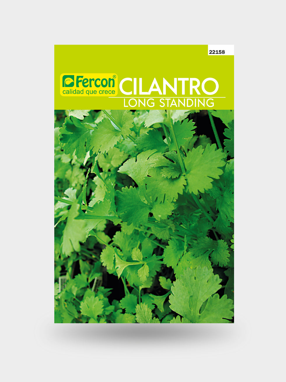 CILANTRO LONG STANDING X 25 G