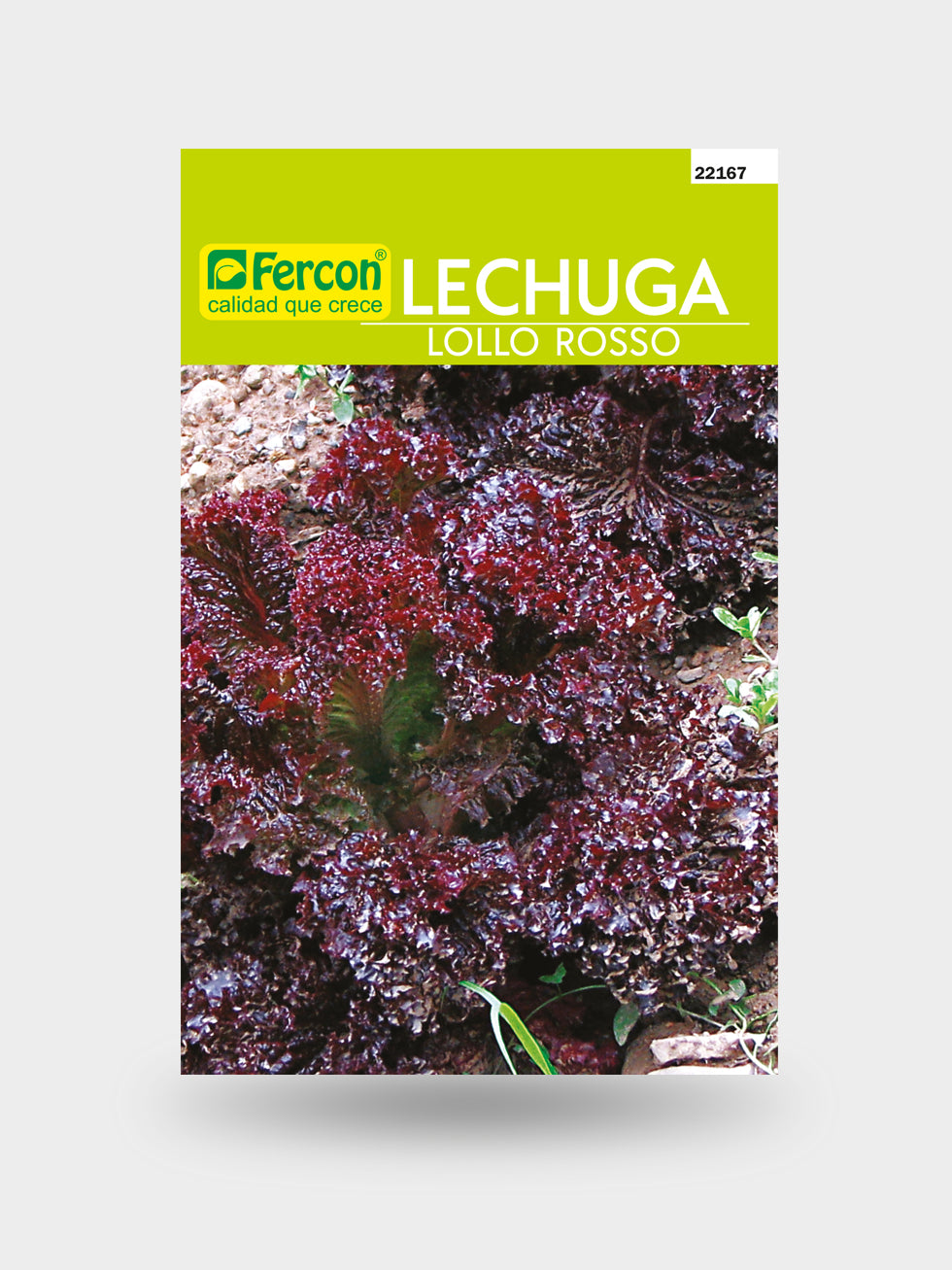 LECHUGA MORADA LOLLO ROSSO  X 2 G