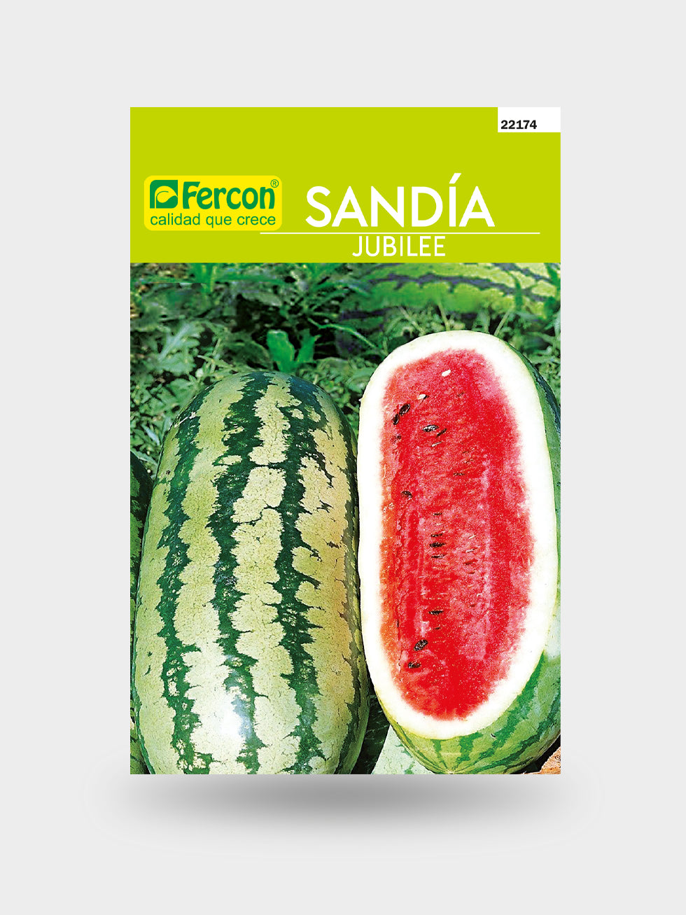SANDIA JUBILEE X 3 G