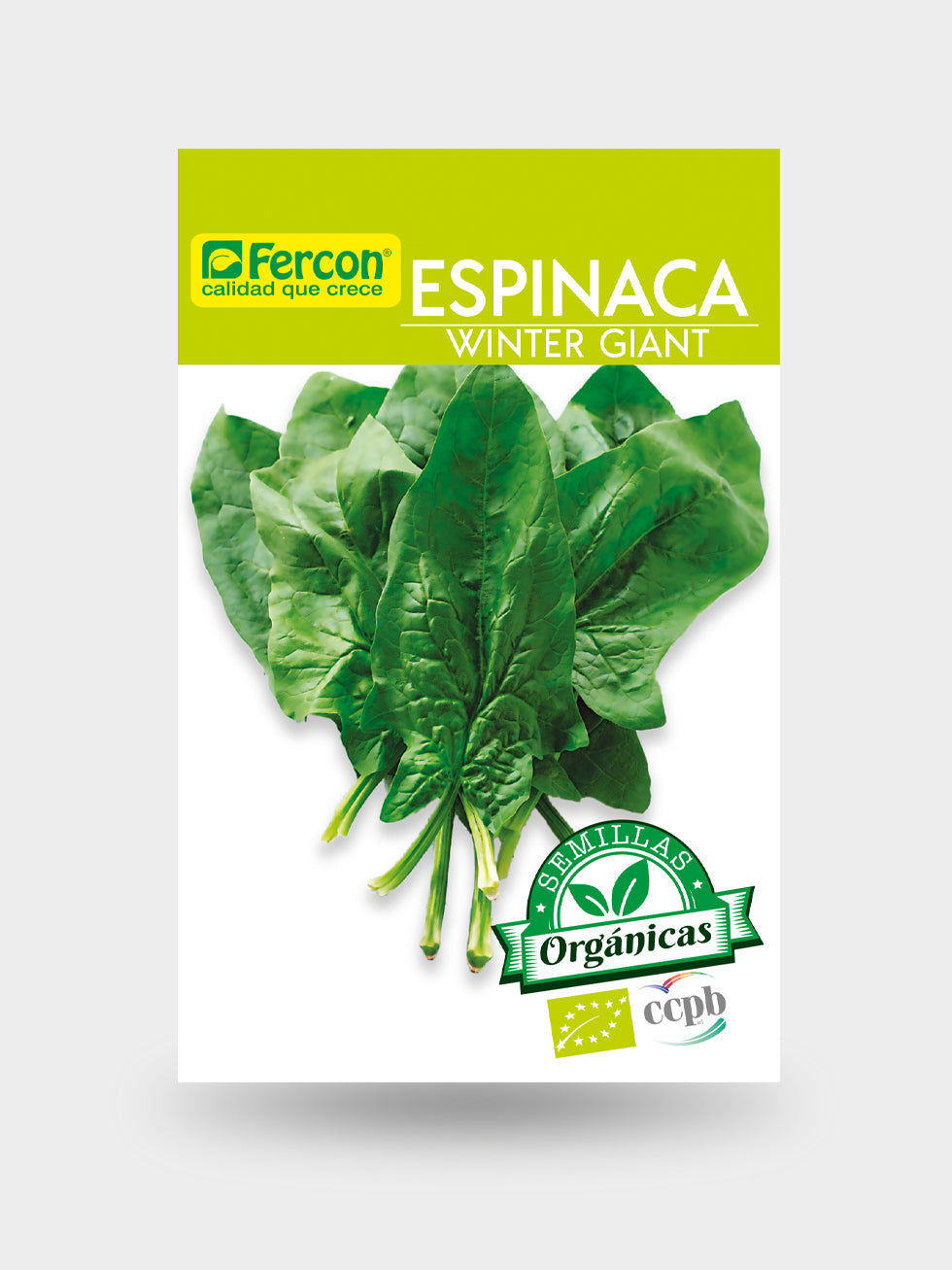 ESPINACA WINTER GIANT BIO