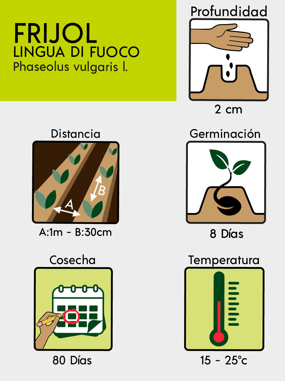FRIJOL LINGUA DI FUOCO BIO