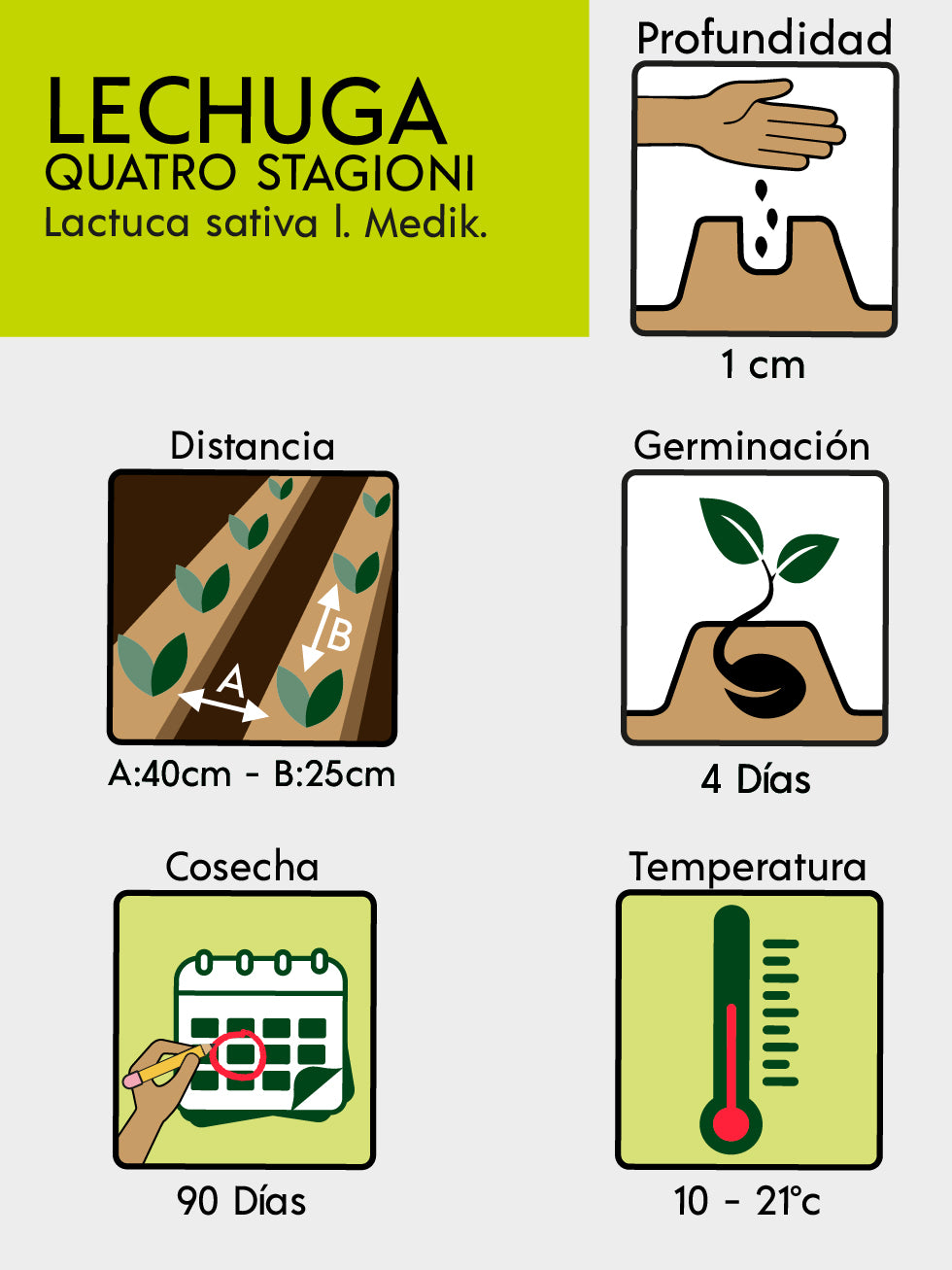 LECHUGA QUATTRO STAGIONI BIO
