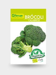 BROCOLI CALABRESE  BIO