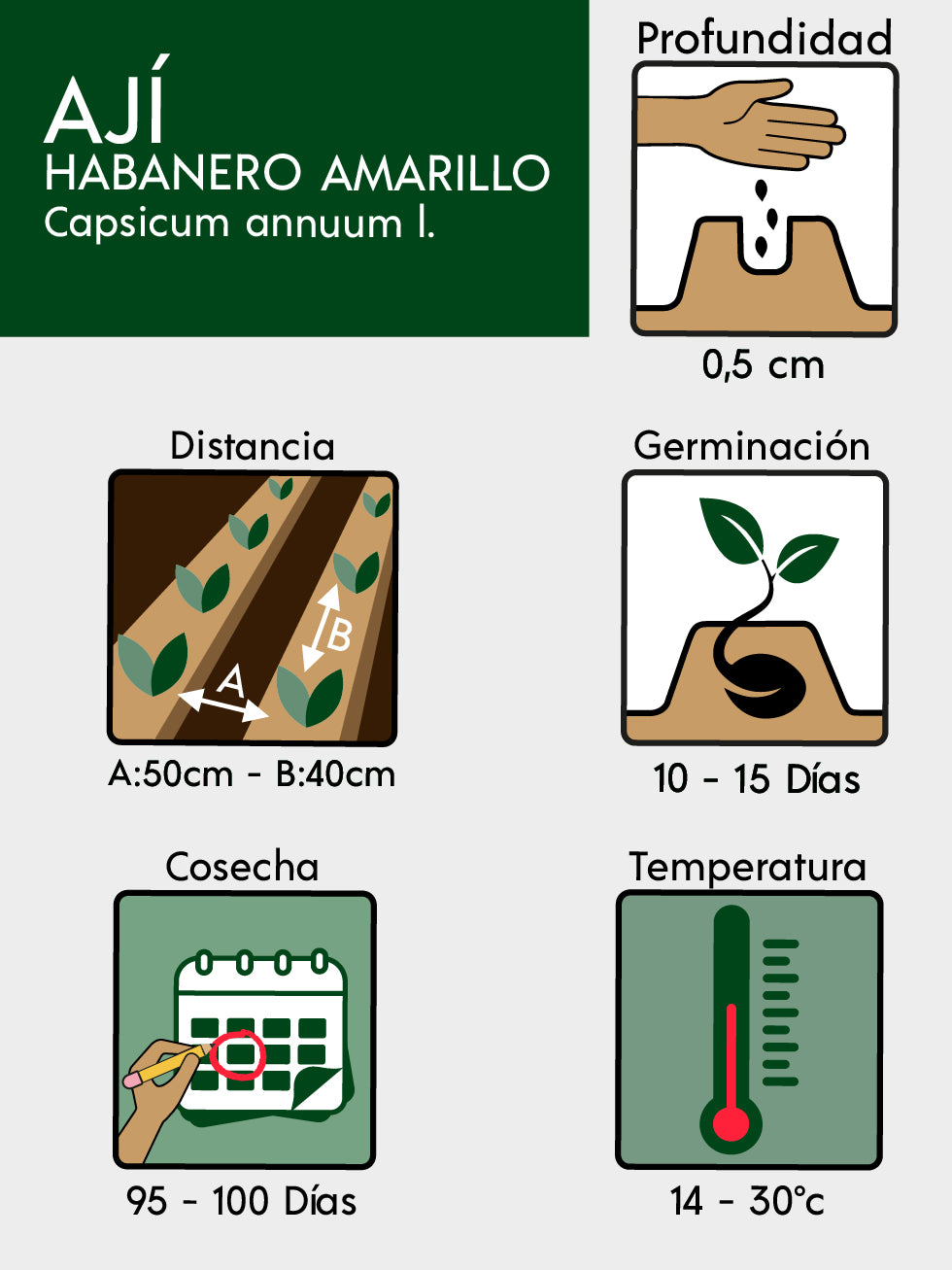 AJÍ HABANERO AMARILLO
