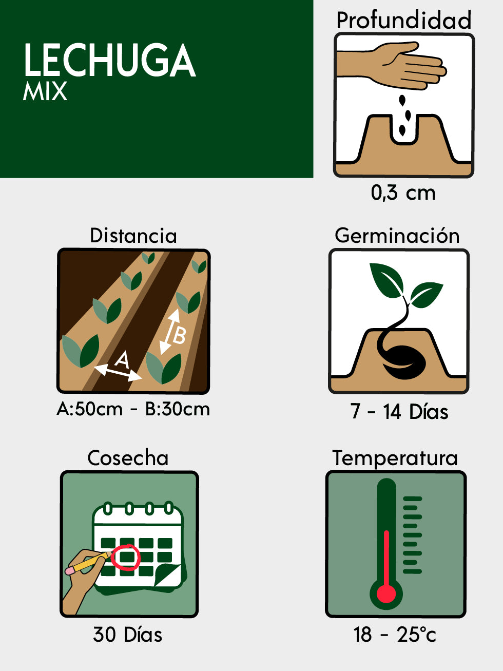 LECHUGAS MIX