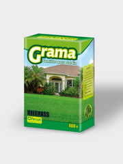 GRAMA RYEGRASS (C.FRIO)  X 400G
