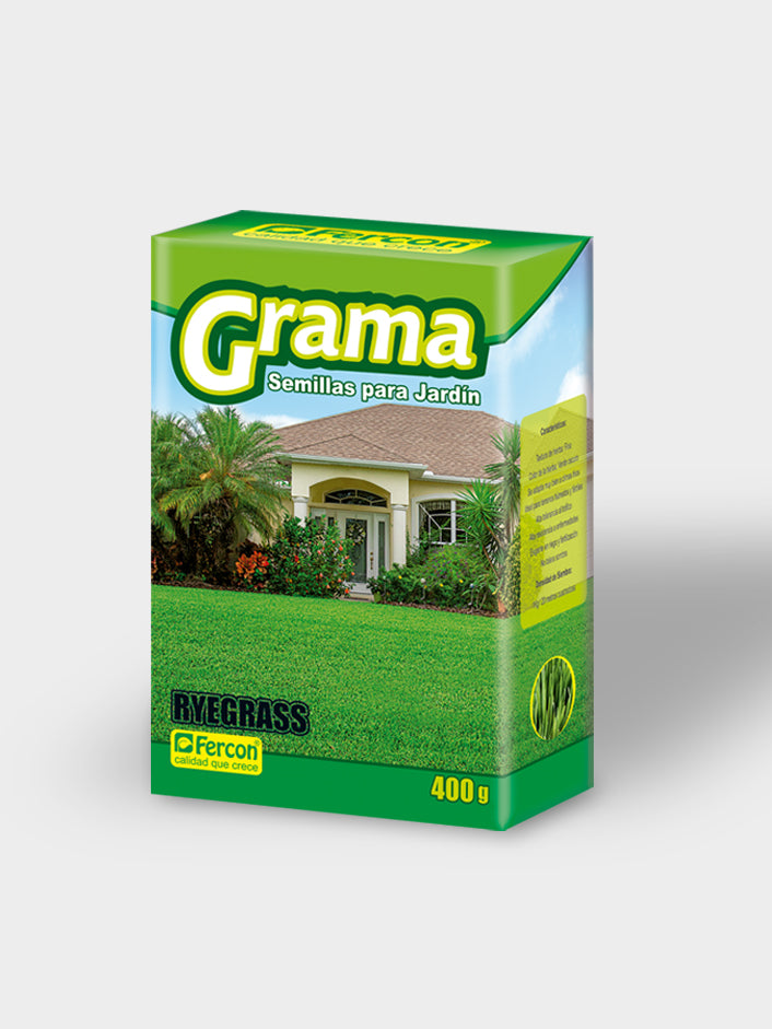 GRAMA RYEGRASS (C.FRIO)  X 400G