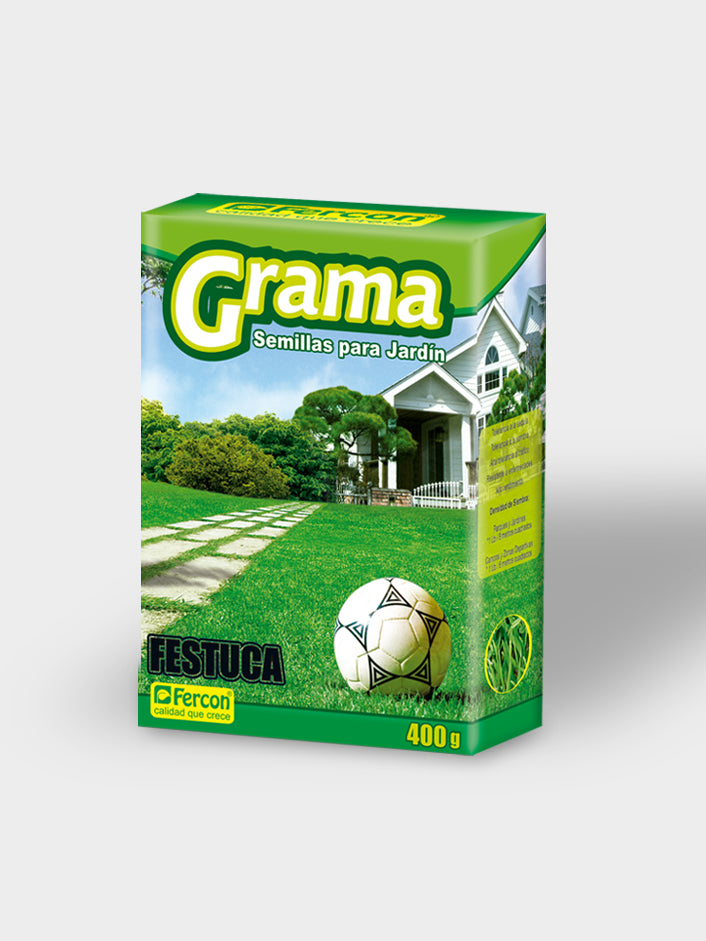 GRAMA FESTUCA  X 400G