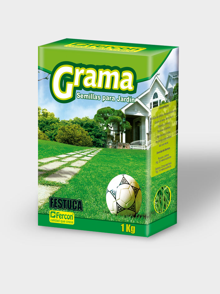 GRAMA FESTUCA  X 1KG