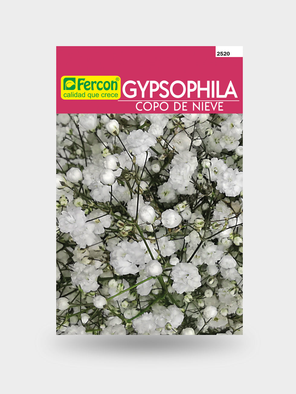 GYPSOPHILA COPO DE NIEVE 2520