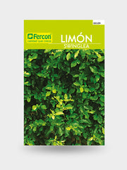 LIMON SWINGLIA     S.E.  X 25 G