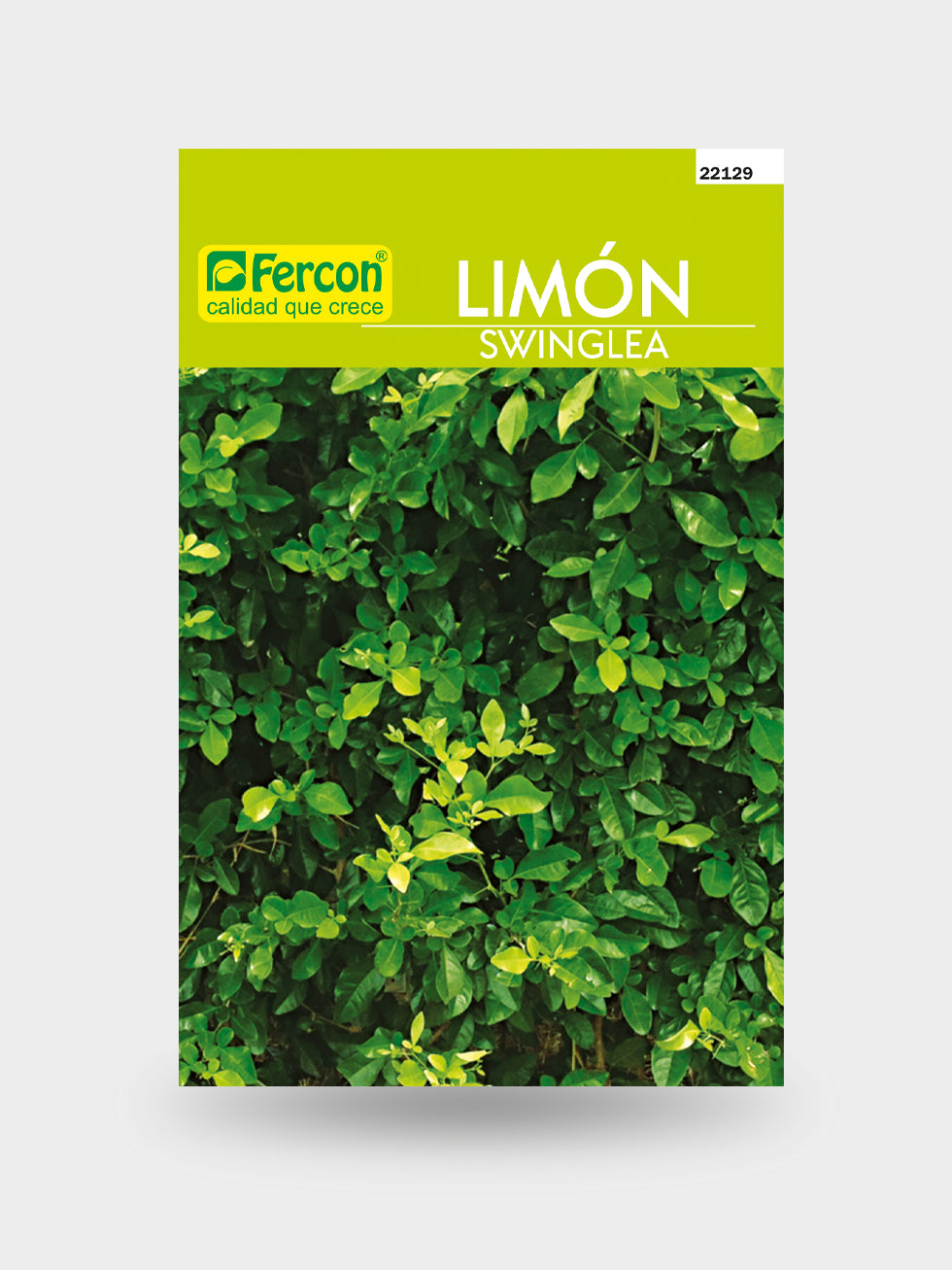 LIMON SWINGLIA     BOLSA X LB