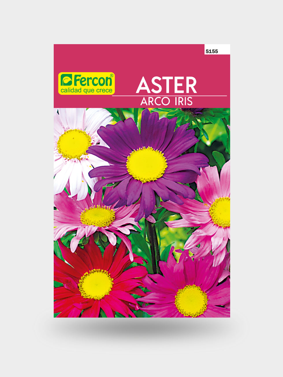 ASTER ARCO IRIS MIX 5155