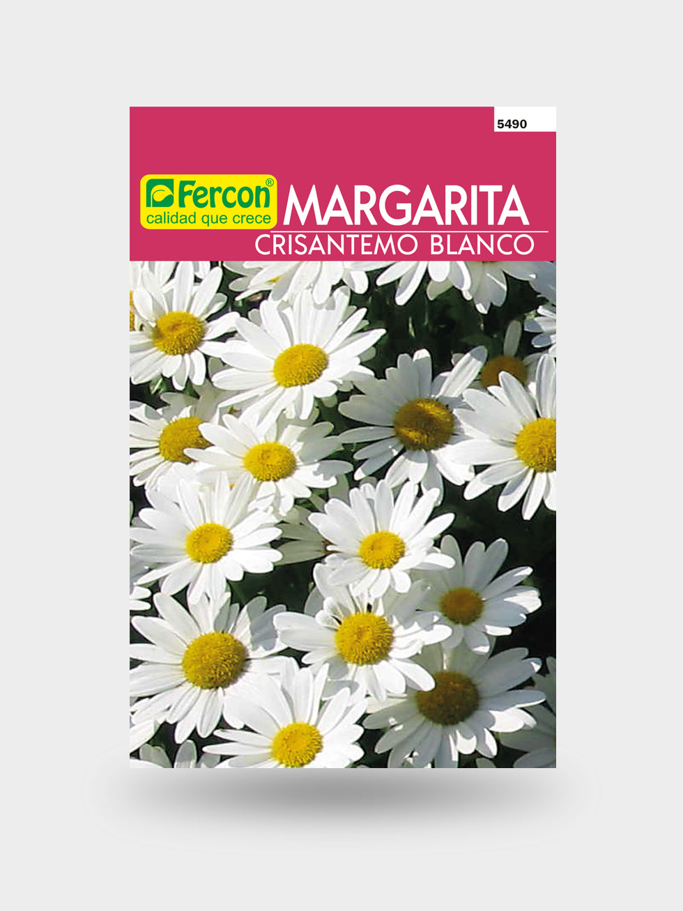 MARGARITA CRISANTEMO BLANCA 5490