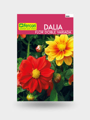 DALIA FLOR DOBLE MIX 5580