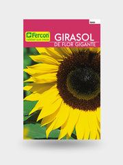 GIRASOL FLOR GIGANTE 5860