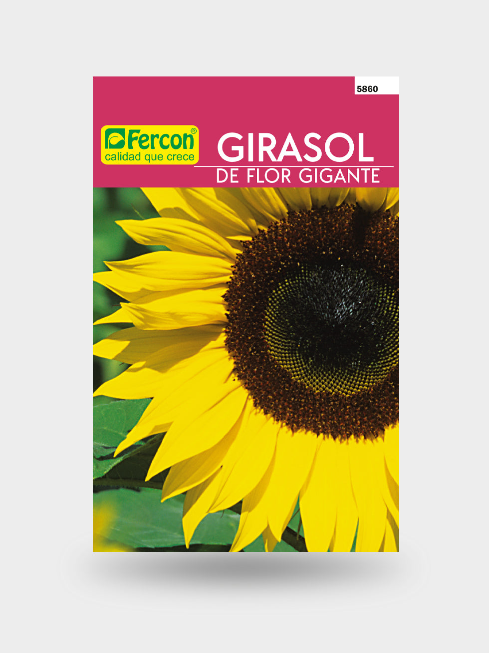 GIRASOL FLOR GIGANTE 5860