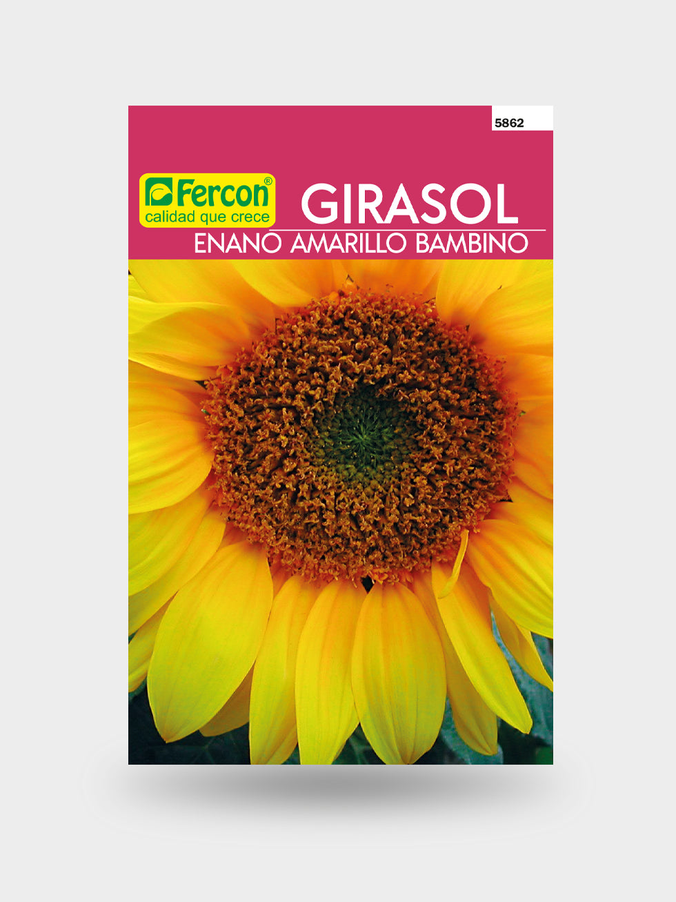 GIRASOL ENANO BAMBINO 5862