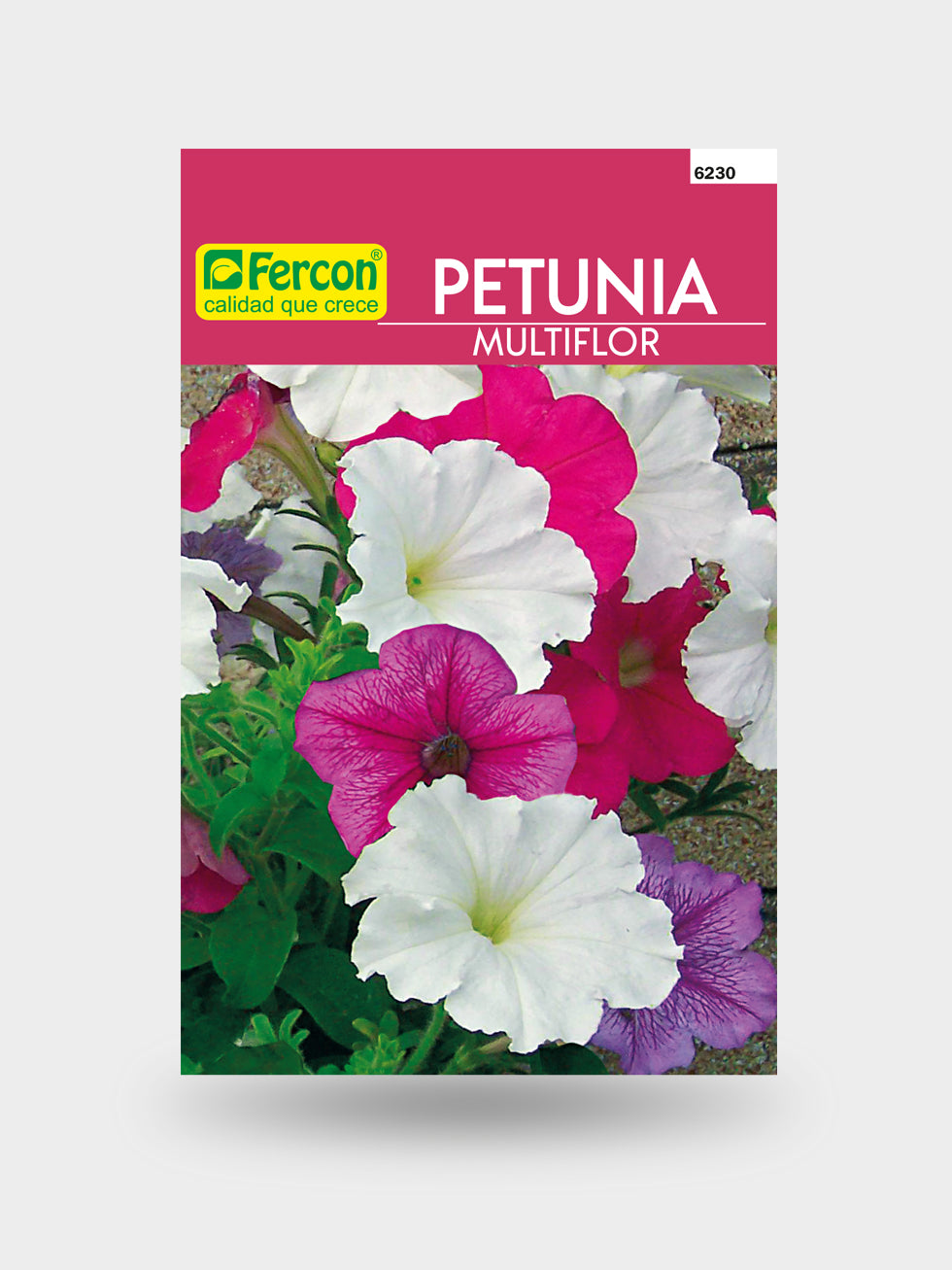 PETUNIA HIBRIDA MULTIFLOR  6230