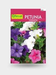 PETUNIA HIBRIDA VARIADA  6305