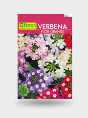 VERBENA FLOR GRANDE 6685