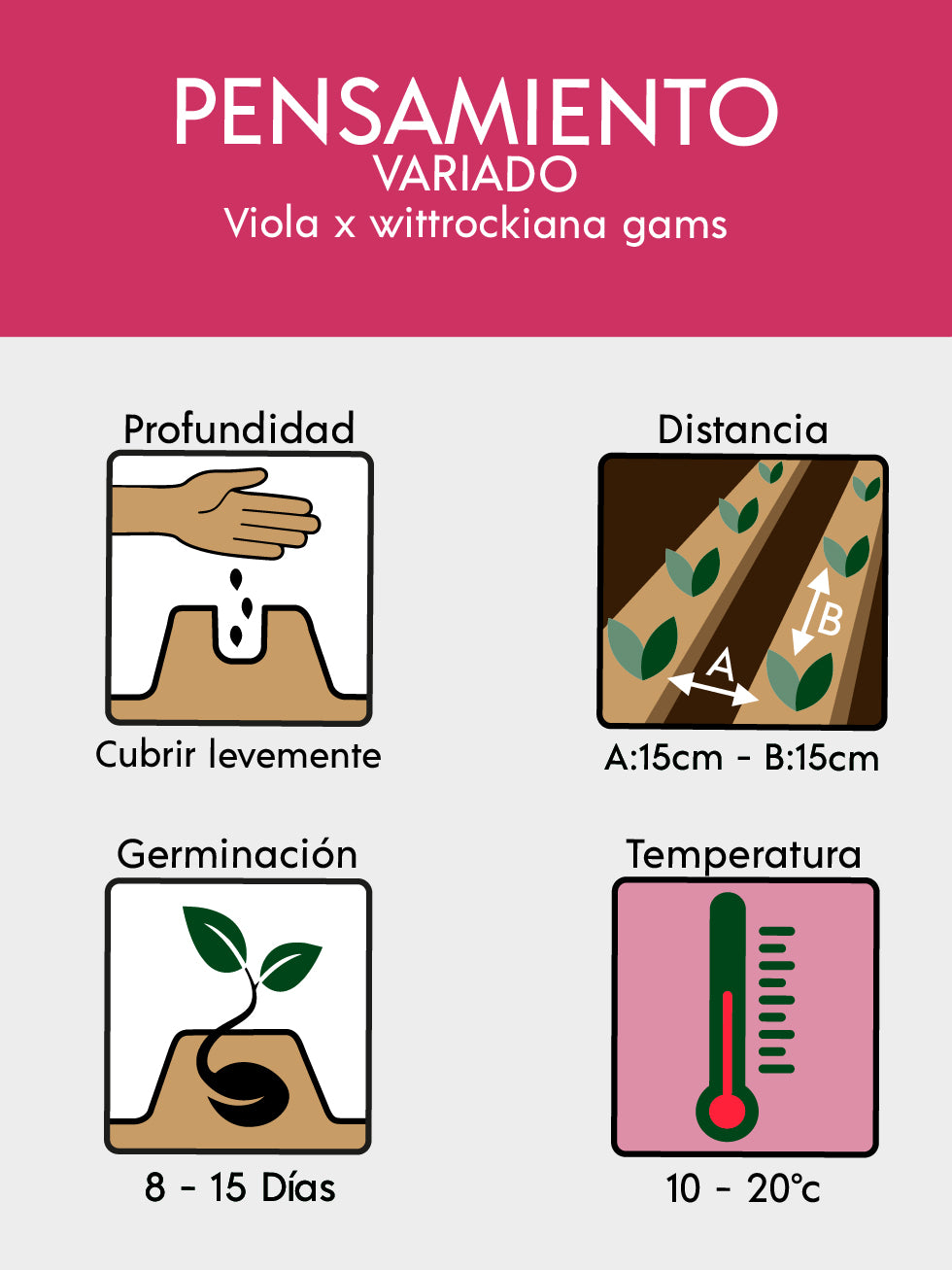 PENSAMIENTO GIGANTE VARIADO 6725