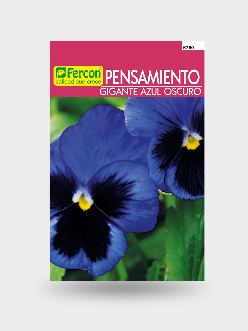 PENSAMIENTO GIGANTE AZUL OSCURO 6750