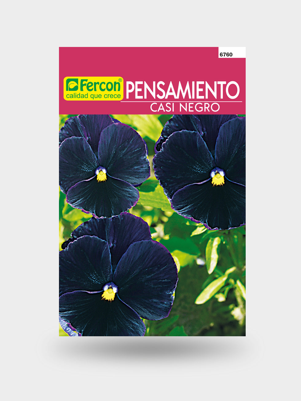 PENSAMIENTO GIGANTE CASI NEGRO 6760