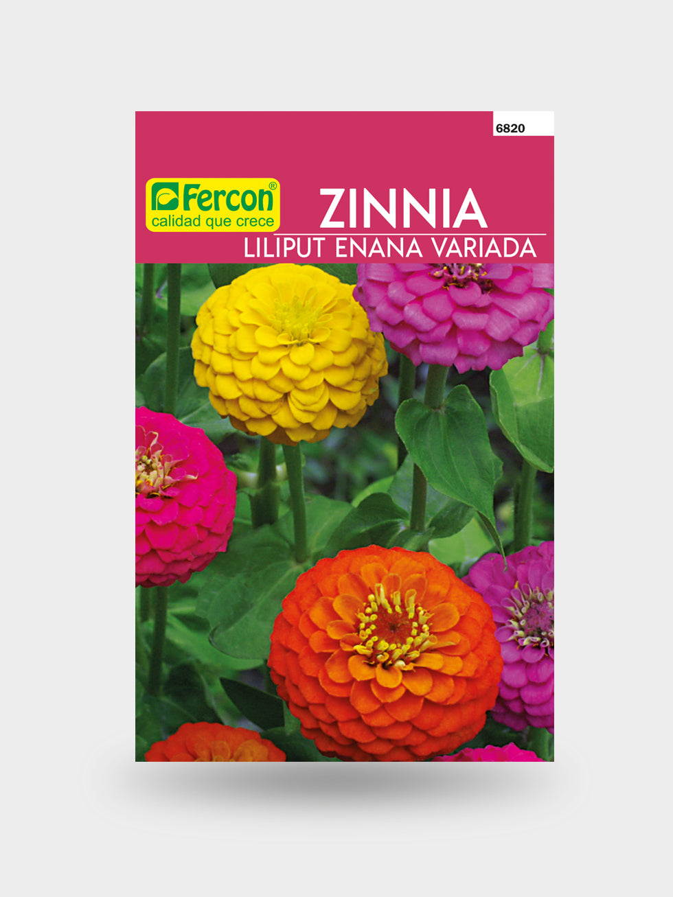 ZINNIA LILIPUT ENANA MIX 6820