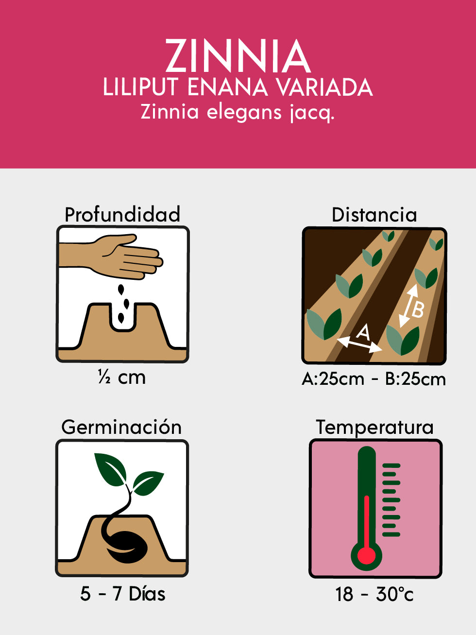 ZINNIA LILIPUT ENANA MIX 6820