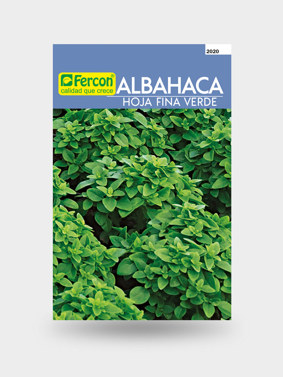 ALBAHACA FINA VERDE 2020