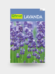 LAVANDA 2035