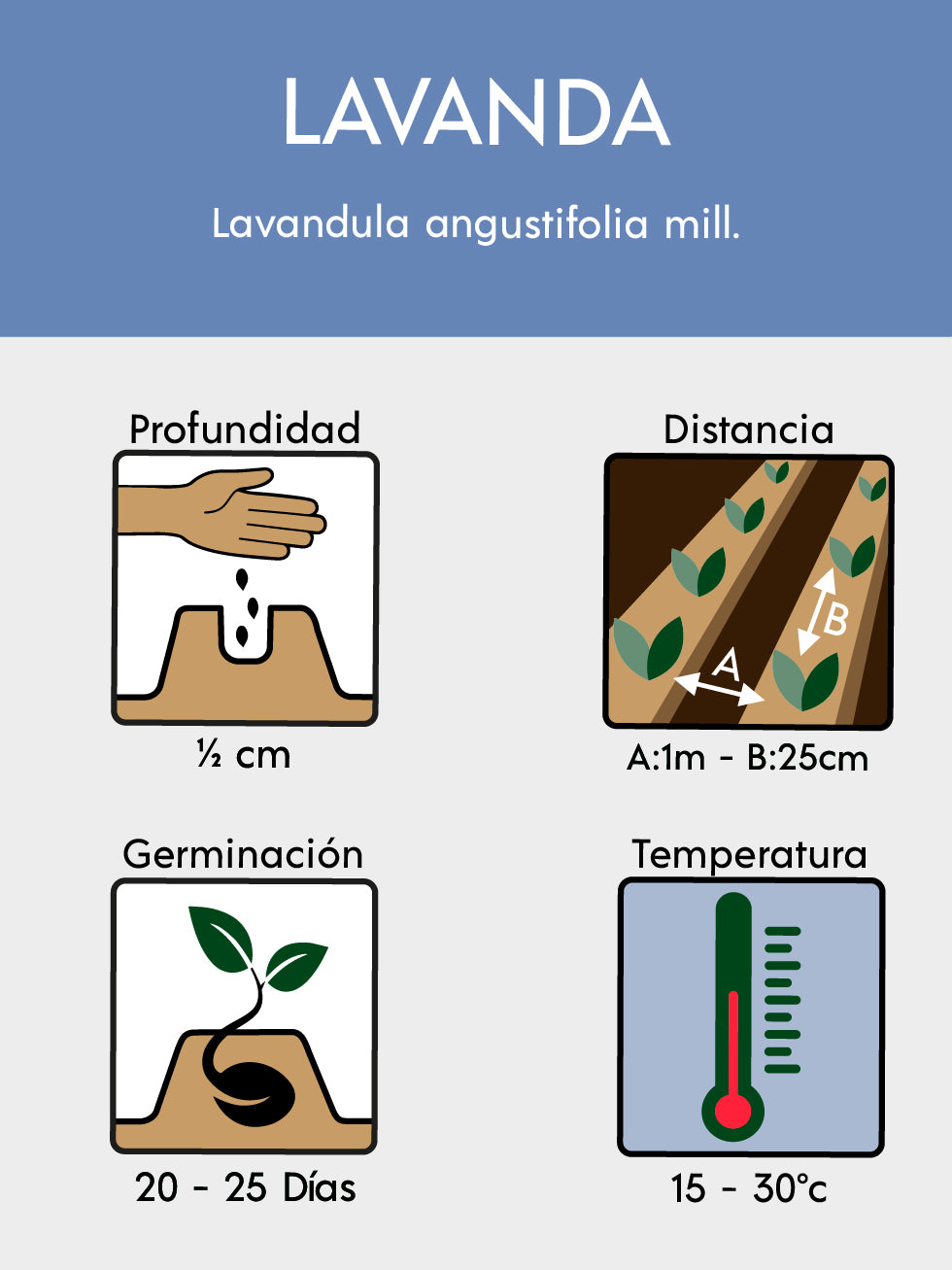 LAVANDA 2035