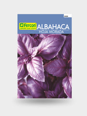 ALBAHACA MORADA OPALO 2055