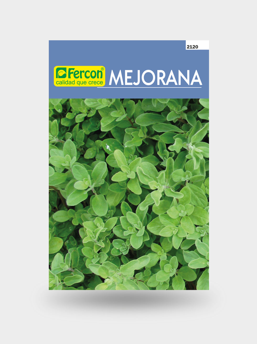 MEJORANA 2120