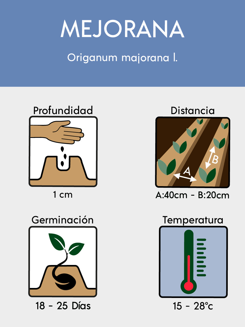 MEJORANA 2120