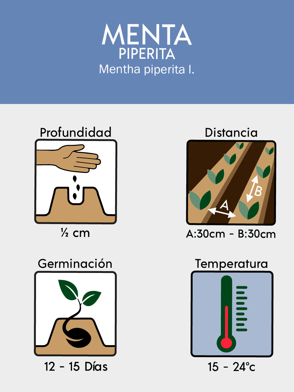 MENTA OFICIAL 2125