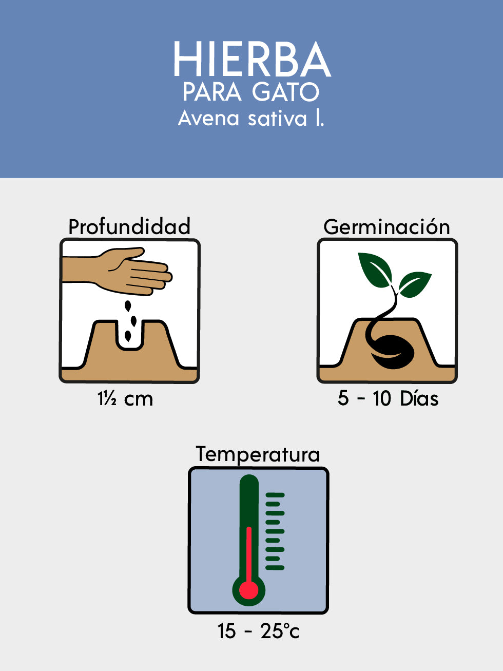 HIERBA PARA GATOS 2260