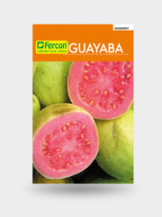 GUAYABA ROJA X 25 G