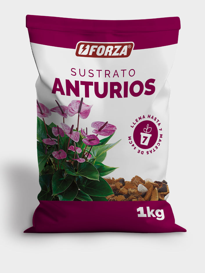 SUSTRATO ANTURIOS X 1KG