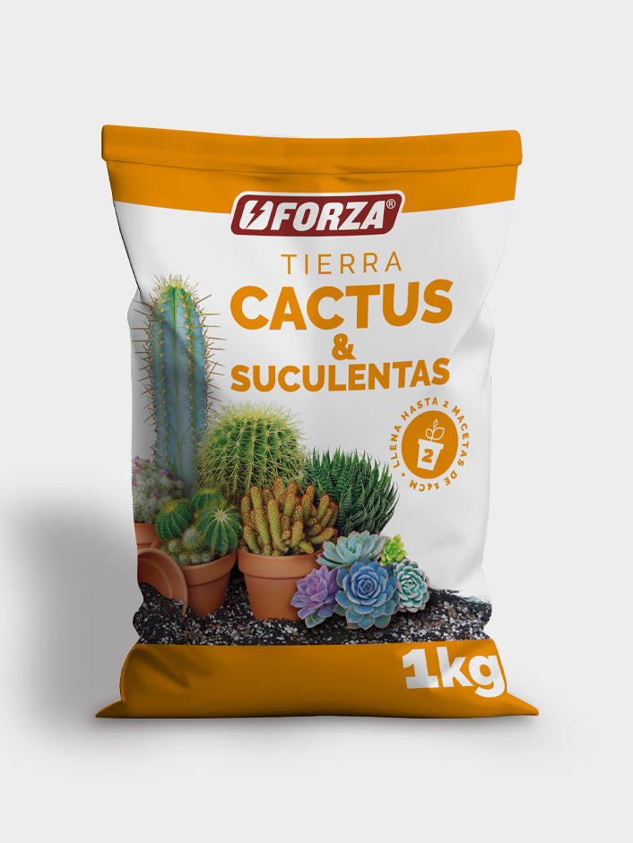TIERRA CACTUS Y SUCULENTAS X 1 KG